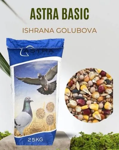 ASTRA BASIC 25kg